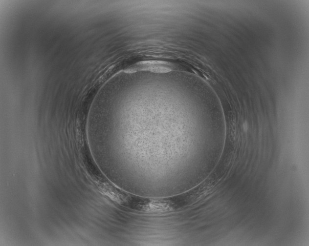 X0000052640270200507082013