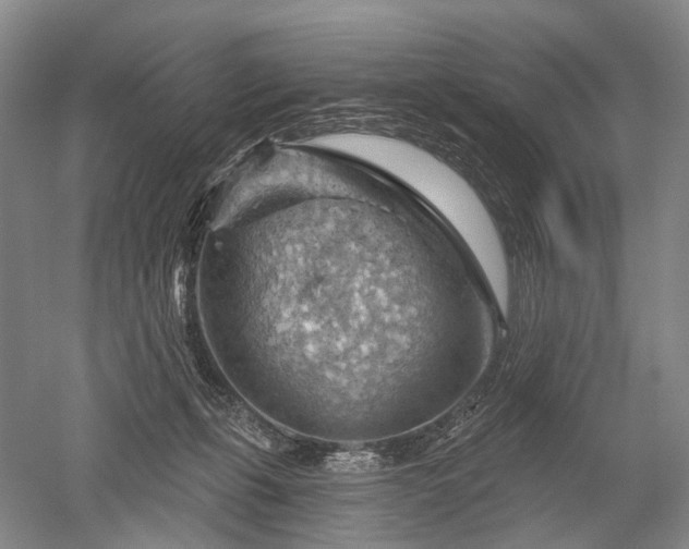 X0000052640271200507082013