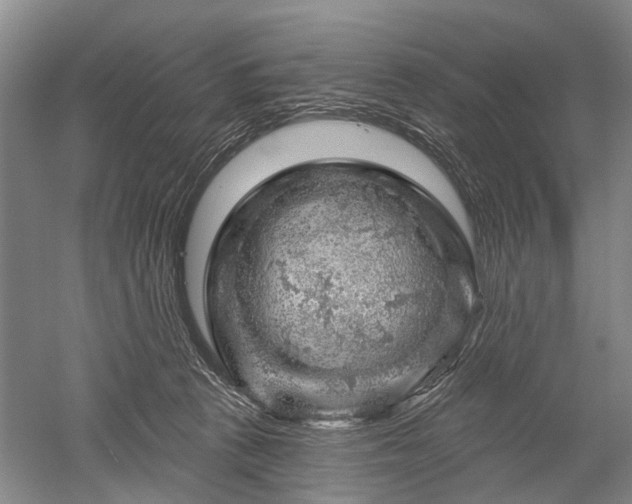 X0000052640273200507082013