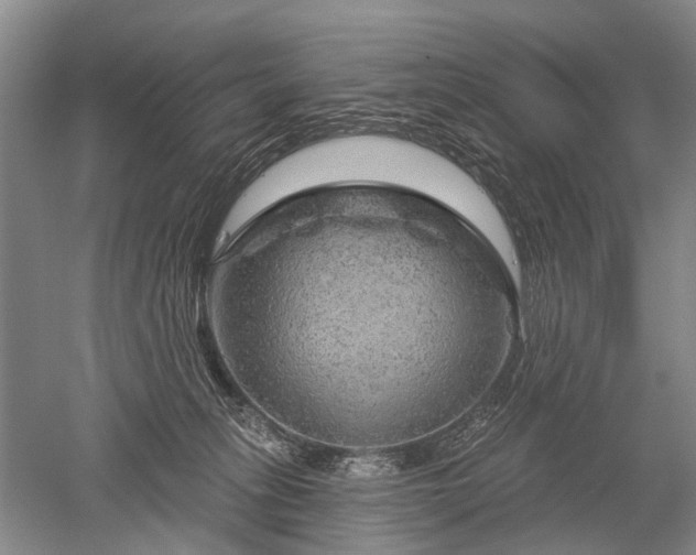 X0000052640275200507082013