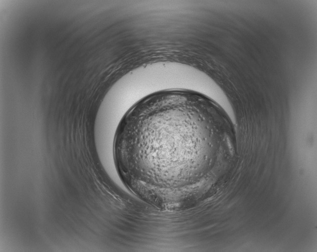 X0000052640276200507082013