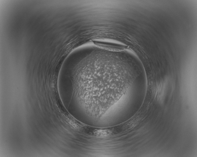 X0000052640277200507082013