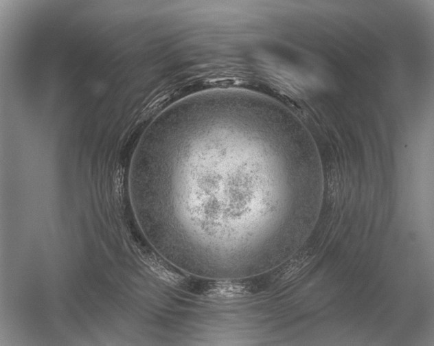 X0000052640278200507082013