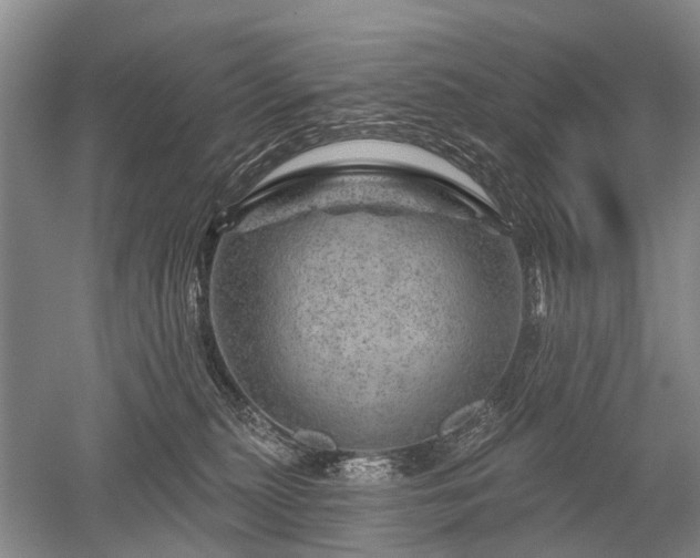 X0000052640279200507082013