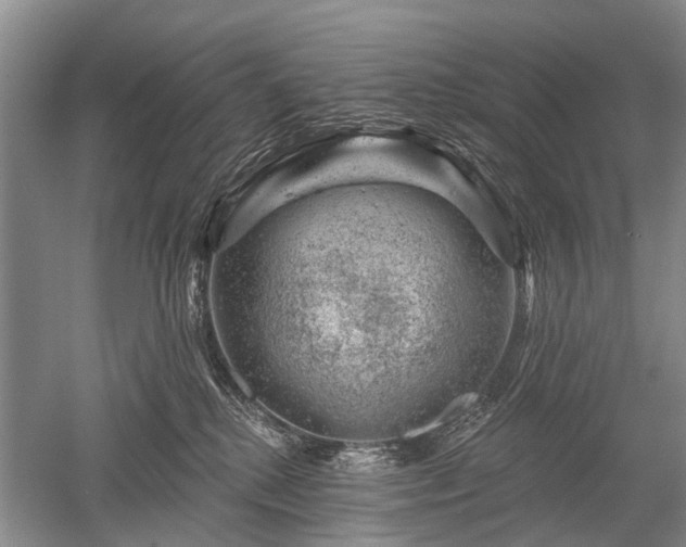 X0000052640280200507082013