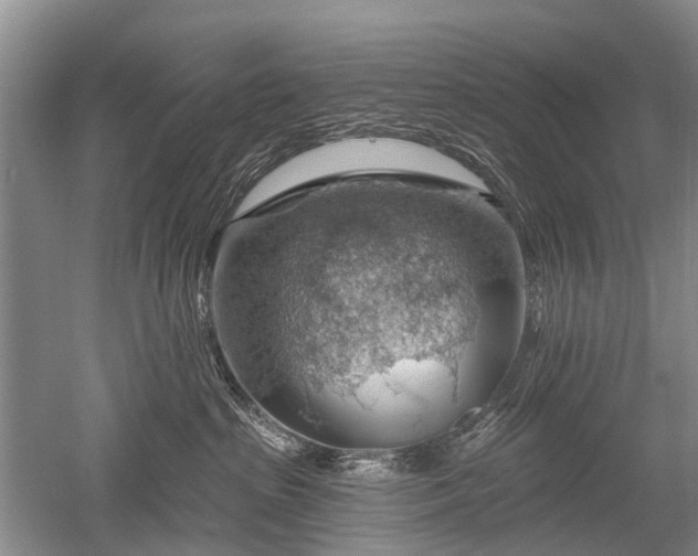 X0000052640285200507082013