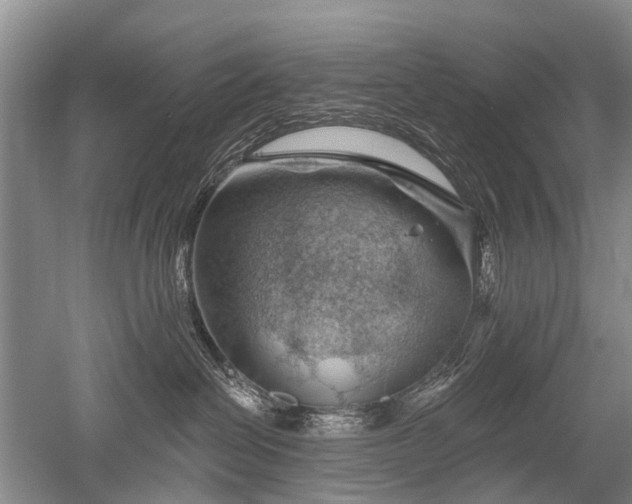 X0000052640286200507082013