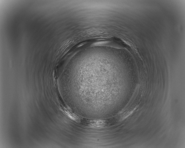 X0000052640288200507082013