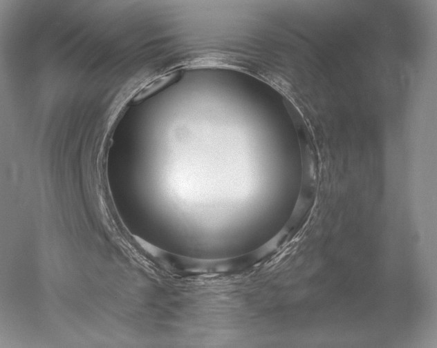 X0000052640289200507082013