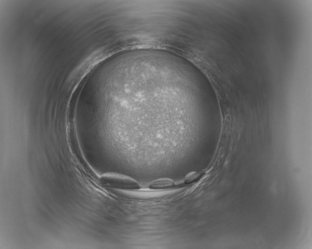 X0000052640290200507082013