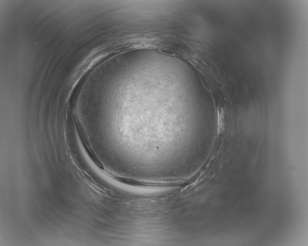 X0000052640291200507082013