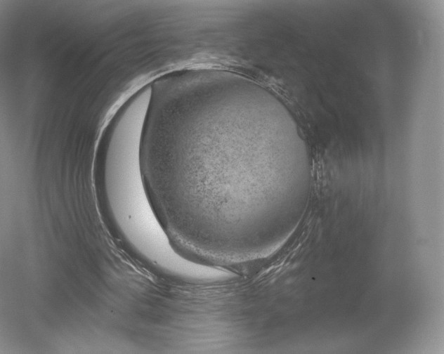 X0000052640292200507082013