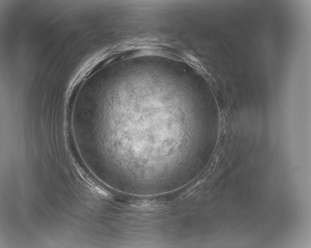 X0000052640293200507082013