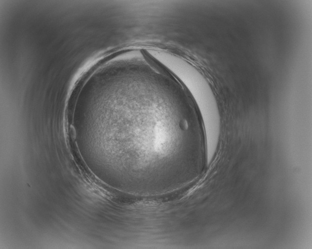 X0000052640294200507082013