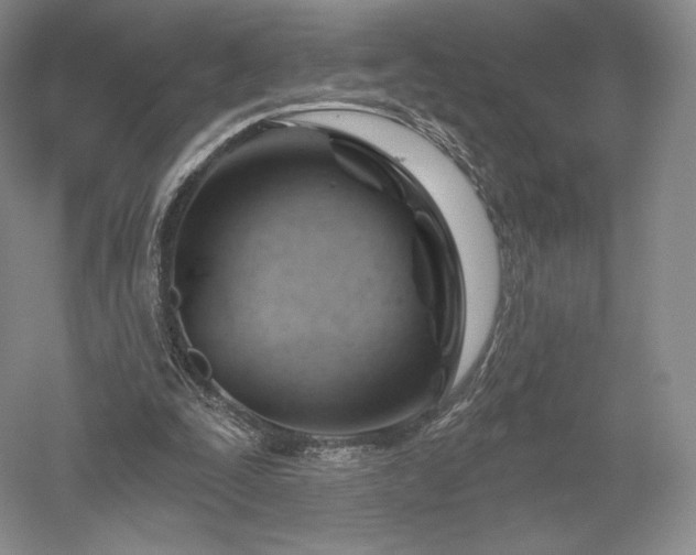 X0000052640295200507082013