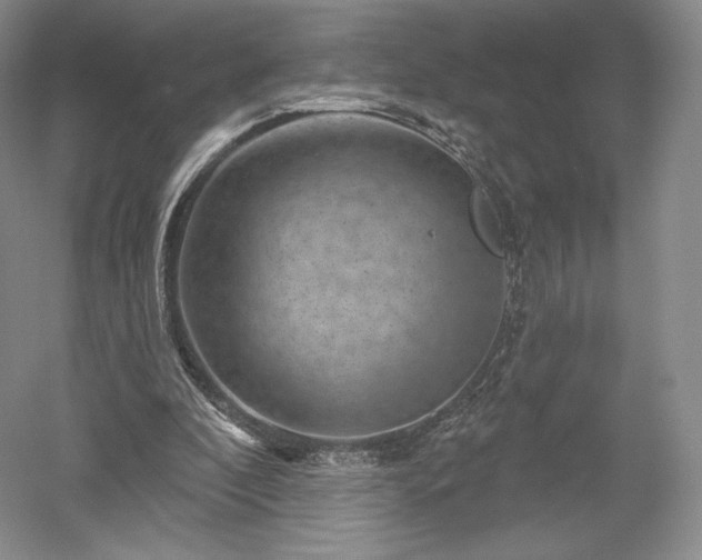 X0000052640296200507082013