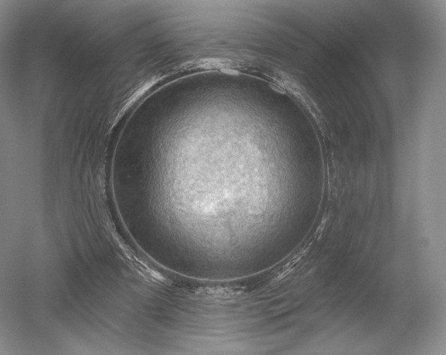 X0000052640297200507082012