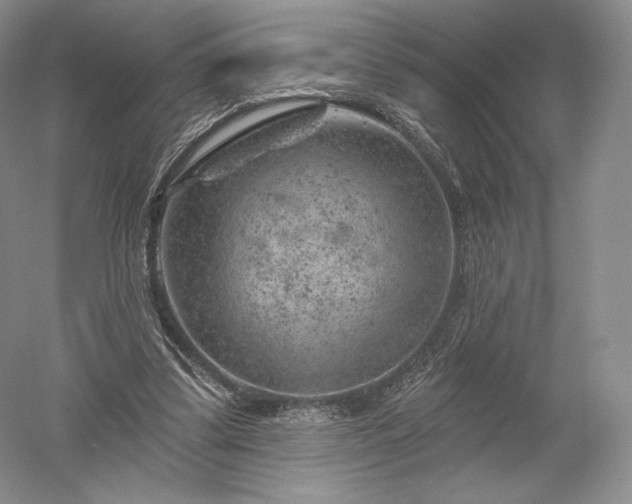 X0000052640299200507082012