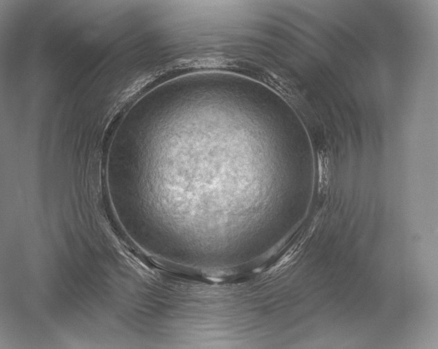 X0000052640301200507082012