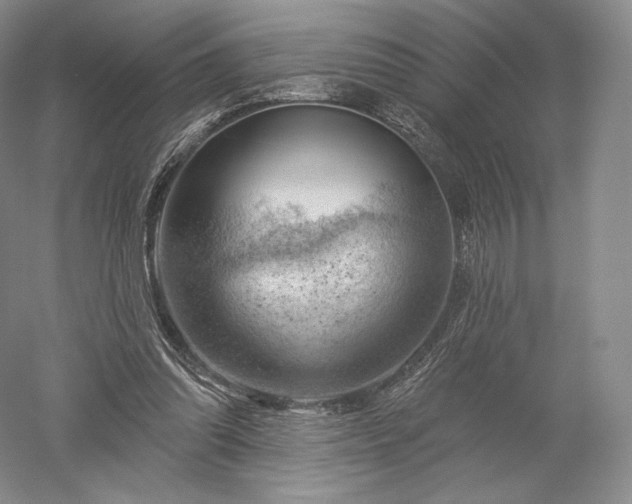 X0000052640302200507082012