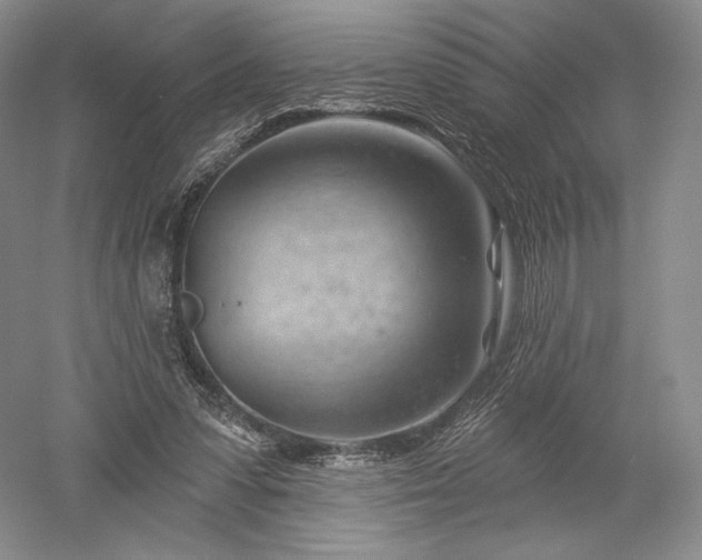 X0000052640303200507082012