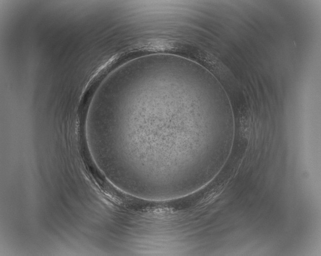 X0000052640304200507082012