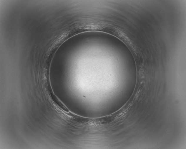 X0000052640305200507082012