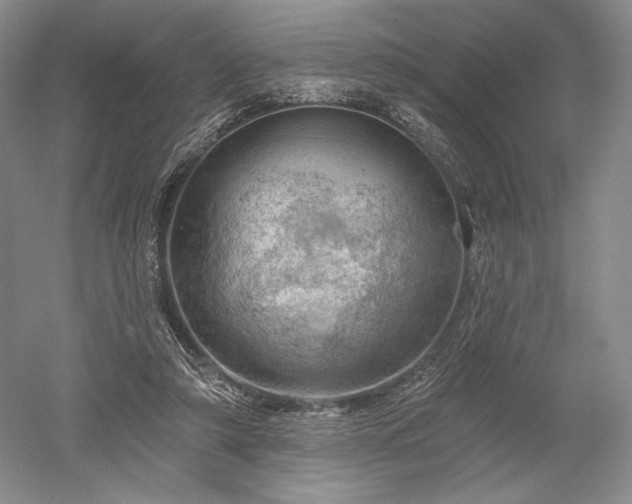 X0000052640306200507082012