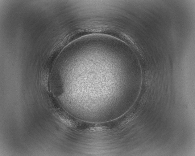 X0000052640307200507082012