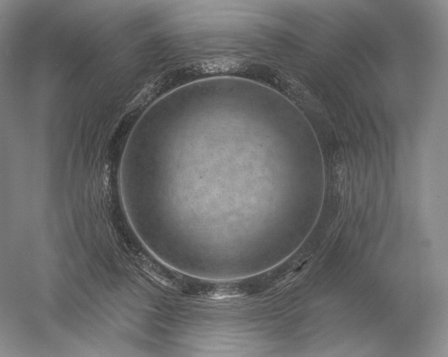 X0000052640308200507082012