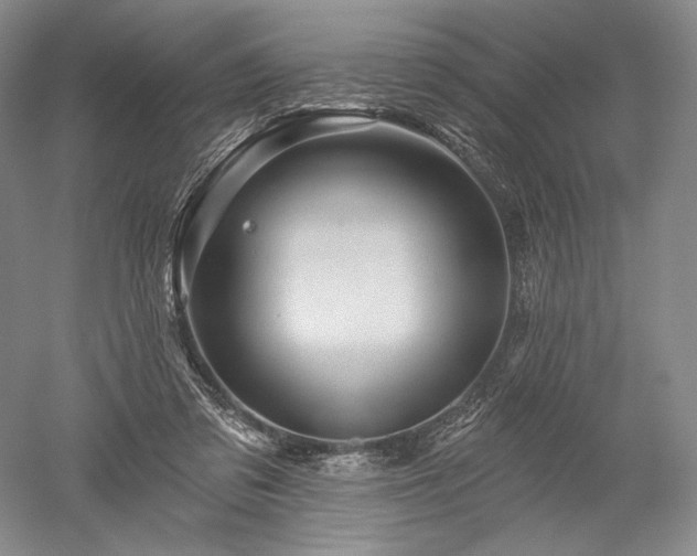 X0000052640309200507082012