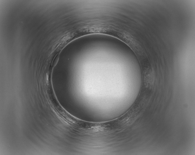 X0000052640310200507082012