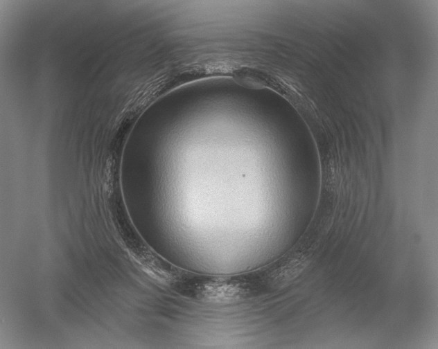 X0000052640311200507082012