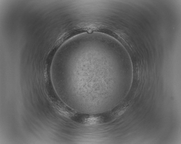 X0000052640312200507082012