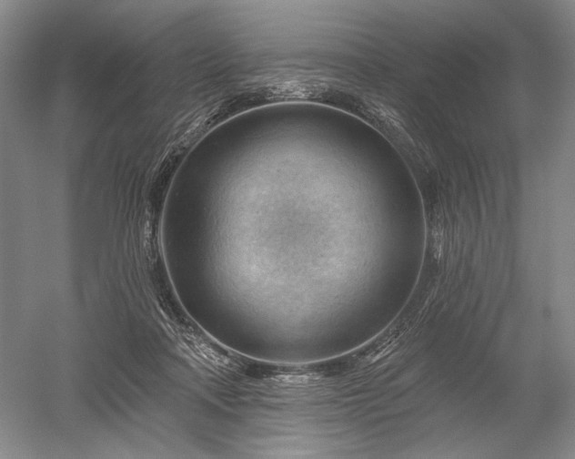 X0000052640314200507082012