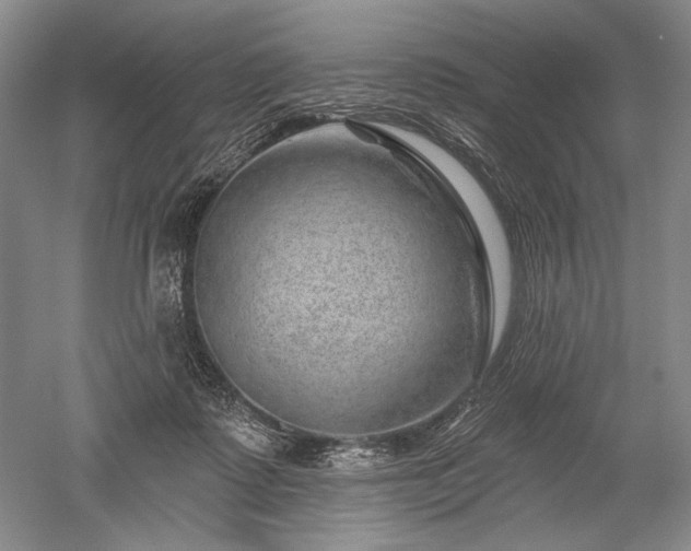 X0000052640315200507082012