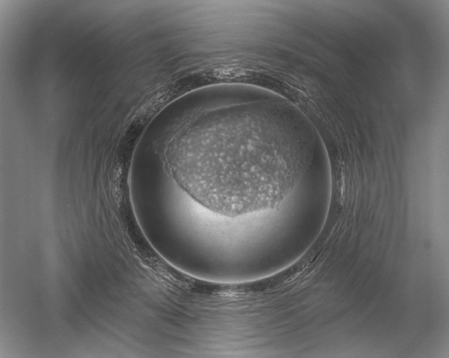 X0000052640319200507082012