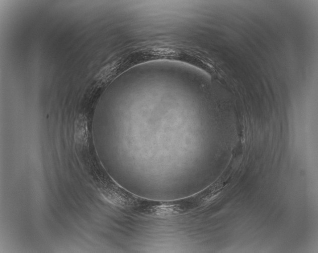 X0000052640320200507082012