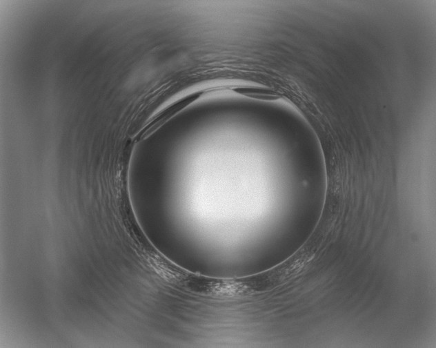 X0000052640321200507082012