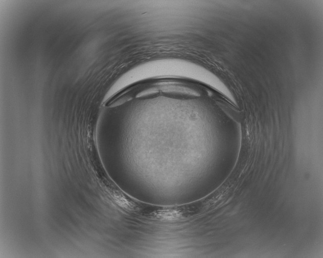 X0000052640322200507082012