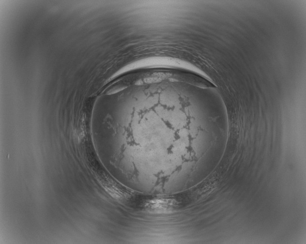 X0000052640323200507082012