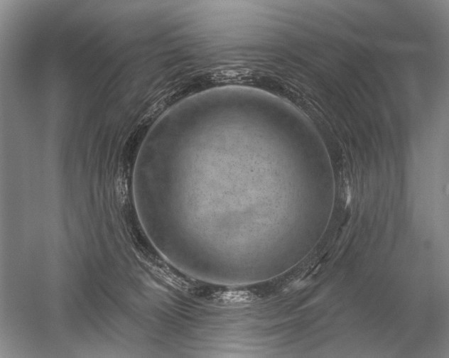 X0000052640324200507082012