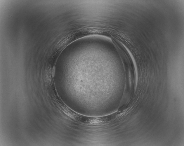 X0000052640325200507082012