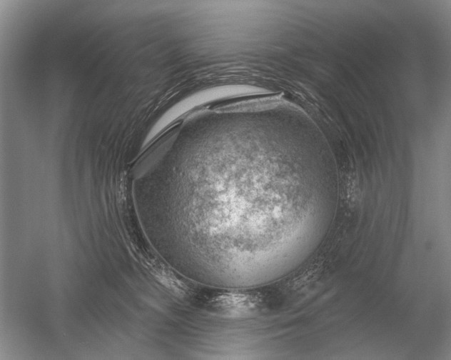 X0000052640326200507082012