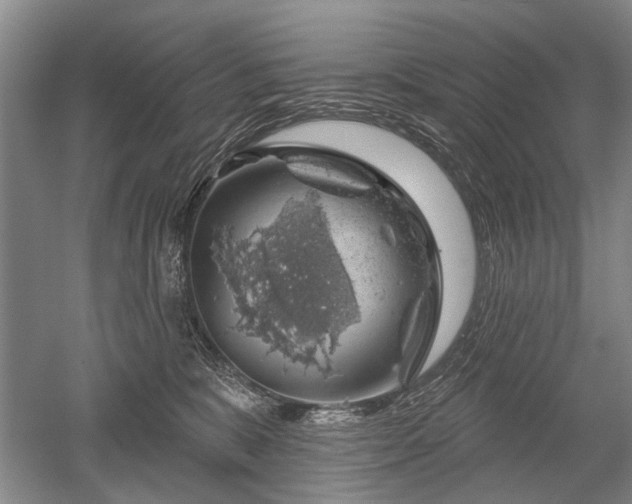 X0000052640327200507082012