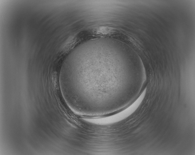 X0000052640328200507082012