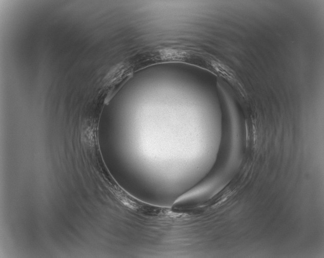 X0000052640329200507082012