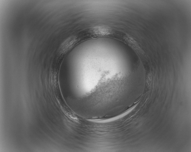 X0000052640330200507082012