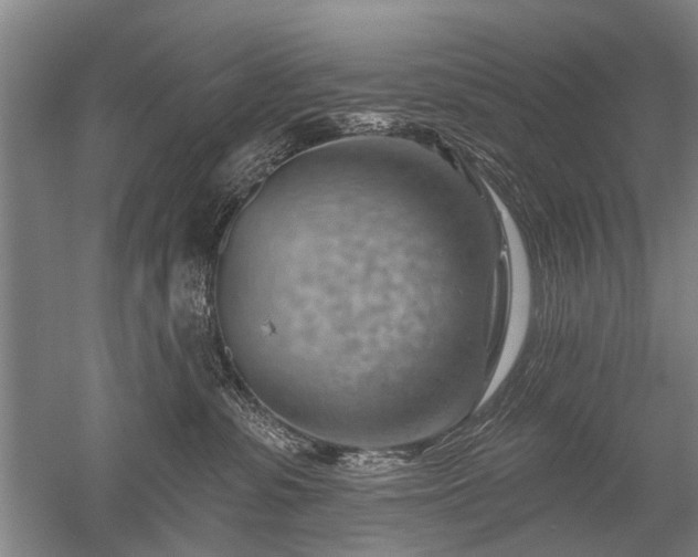 X0000052640331200507082012