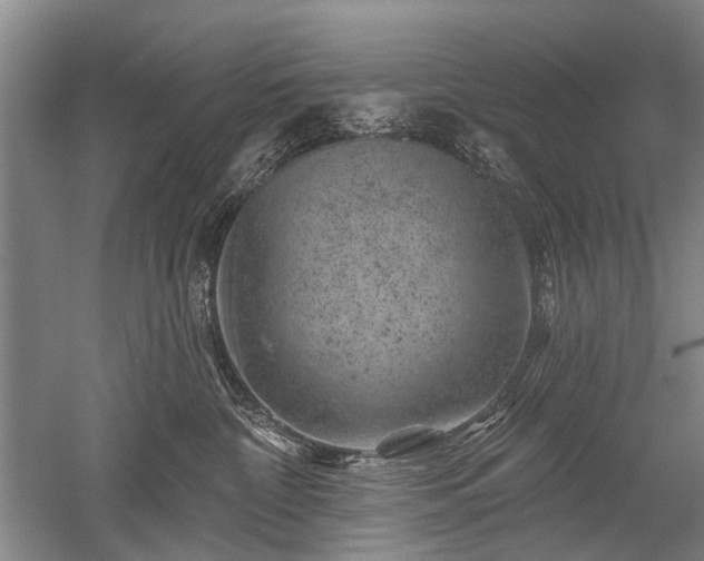 X0000052640332200507082012